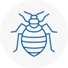Bed Bug Extermination In Marylebone