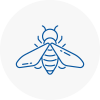Bee Nest Removal Marylebone