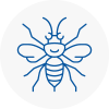 Marylebone Hornet Nest Removals