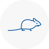 Mice Exterminators In Marylebone