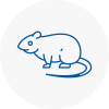 Rat Control Marylebone