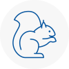 Marylebone Rodent Removals