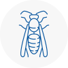 Marylebone Wasp Nest Removal